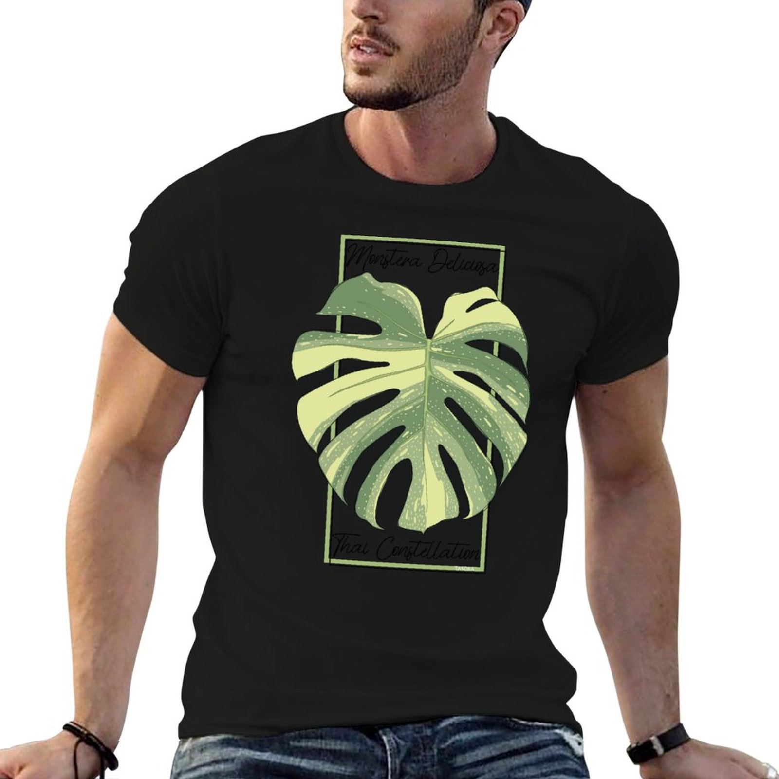 Monstera Thai Constellation - Kaus Katun Monstera Thai Constellation Botanical