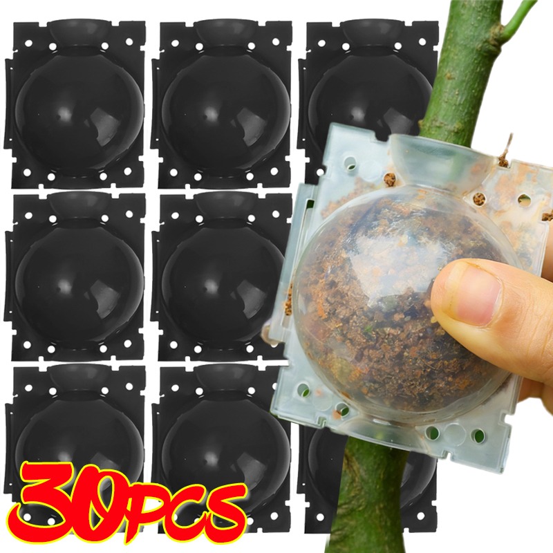 Plant Parent - Alat Cangkok Bola Perakaran Tanaman yang