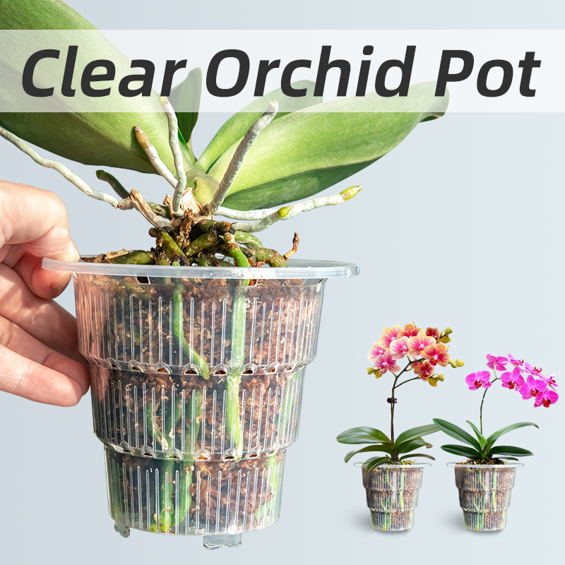 Meshpot Pot Pot anggrek plasti - Plant Parent ulasan dan harga