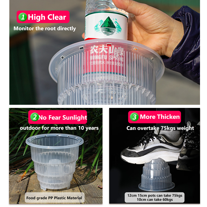 Meshpot Pot Pot anggrek plasti - Plant Parent ulasan dan harga