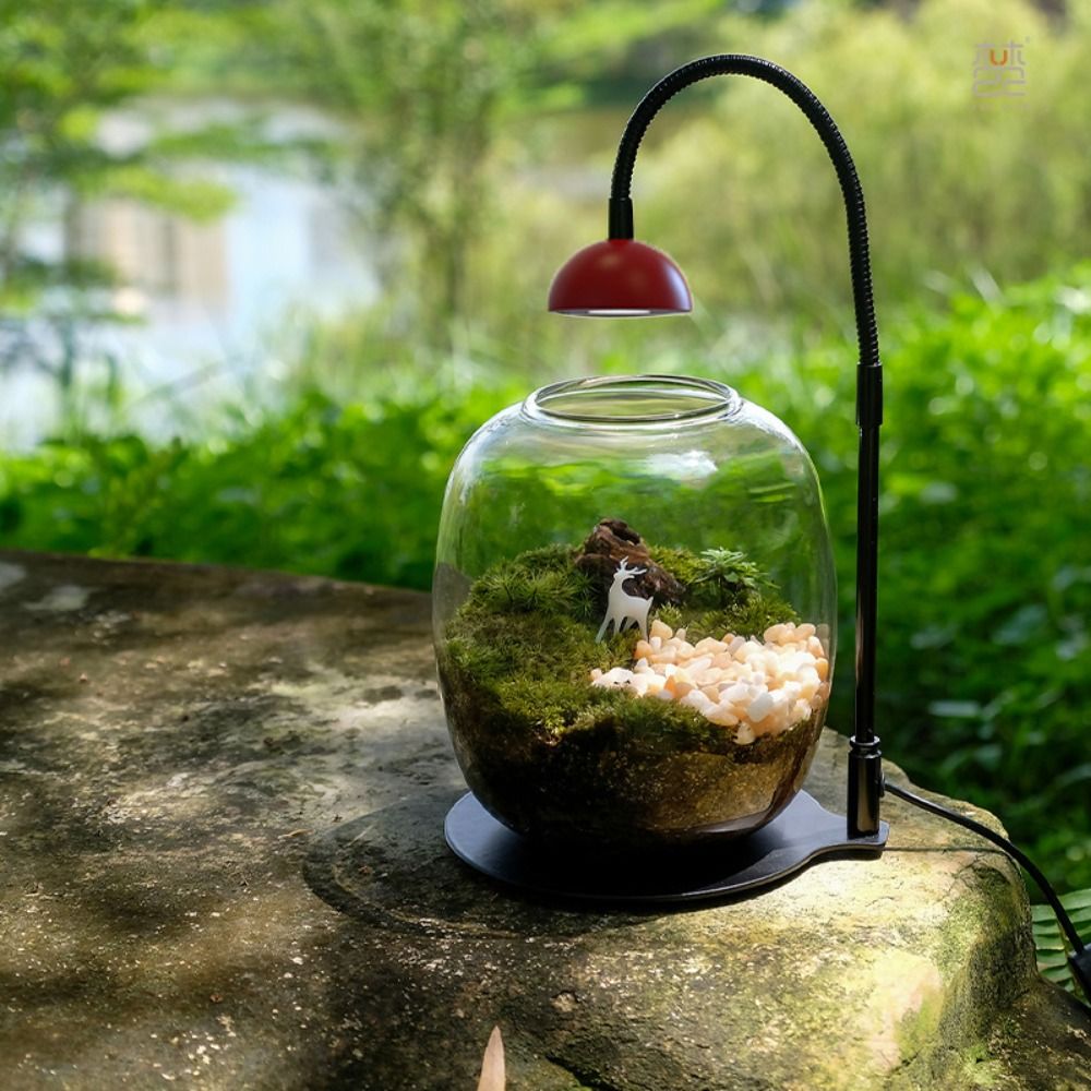 Lampu Meja LED Tanaman dari Pa - Plant Parent ulasan dan harga