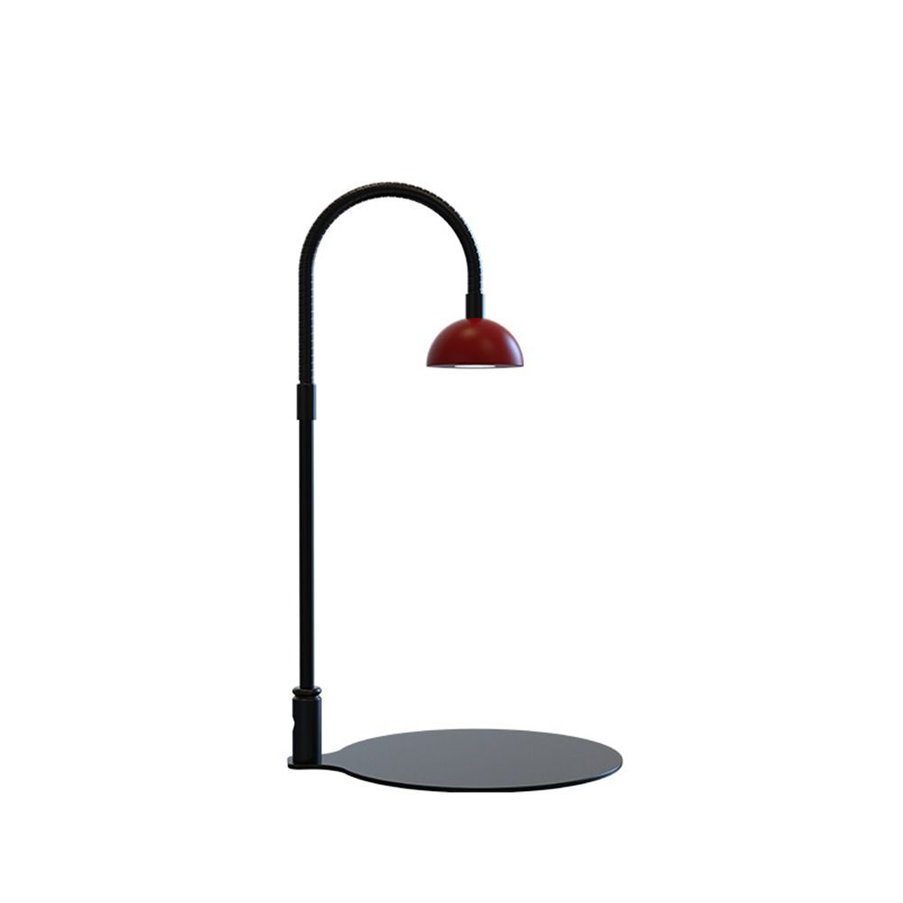 Lampu Meja LED Tanaman dari Pa - Plant Parent ulasan dan harga