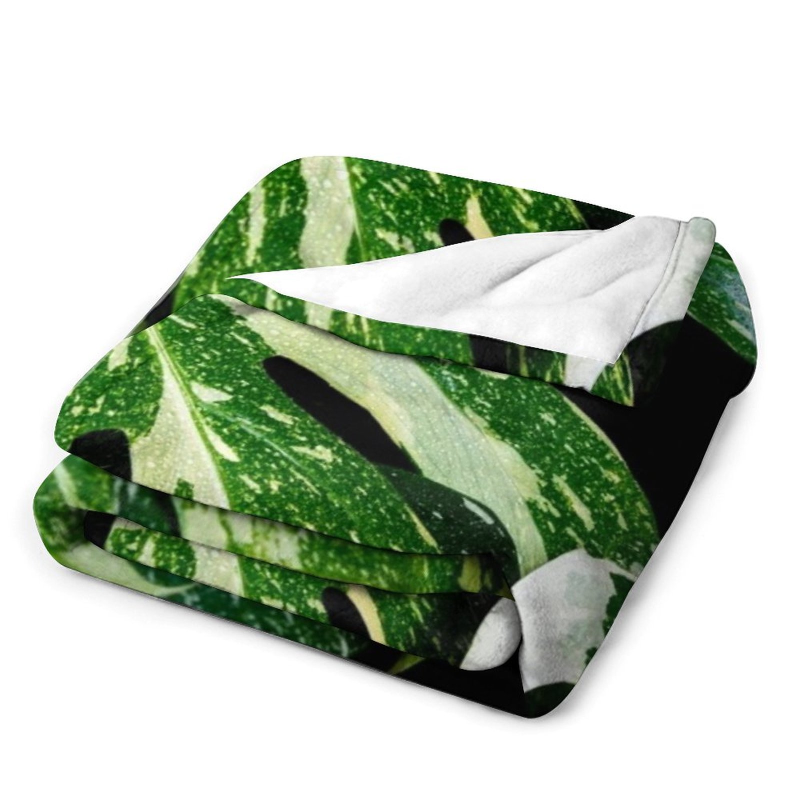 Selimut Monstera Thai Constell - Monstera Thai Constellation ulasan dan harga