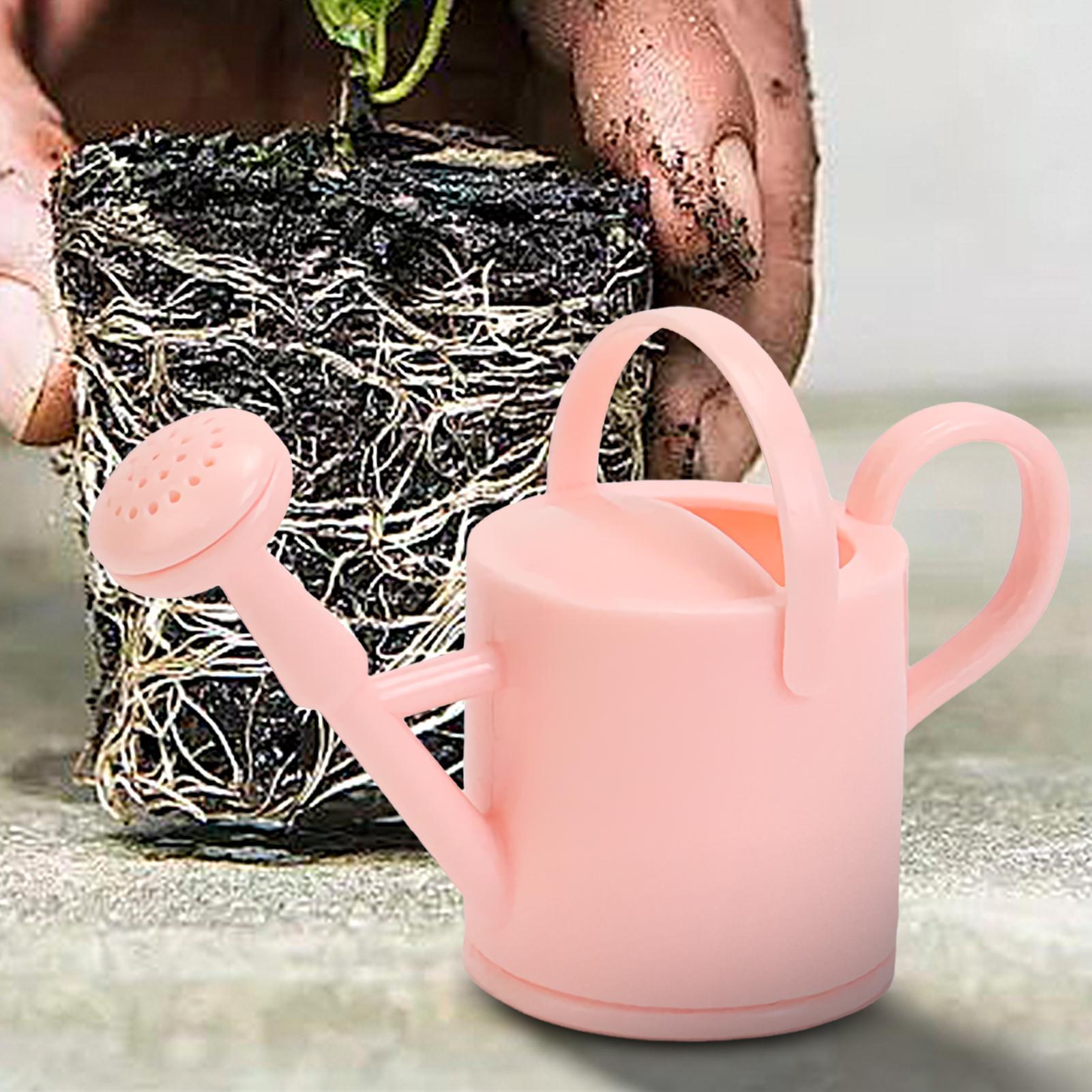 Kaleng Penyiram Anak Kecil, Al - Plant Parent ulasan dan harga