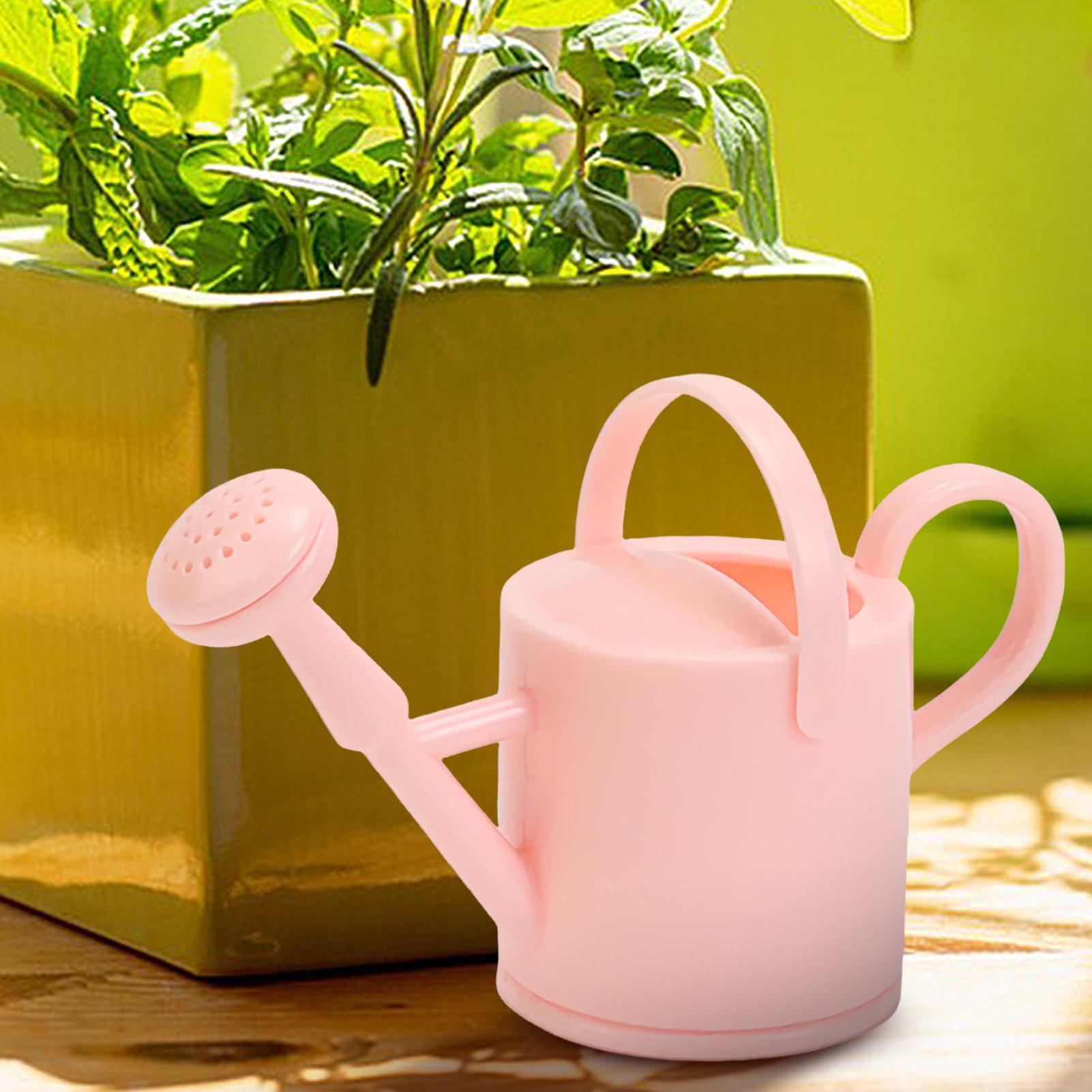 Kaleng Penyiram Anak Kecil, Al - Plant Parent ulasan dan harga