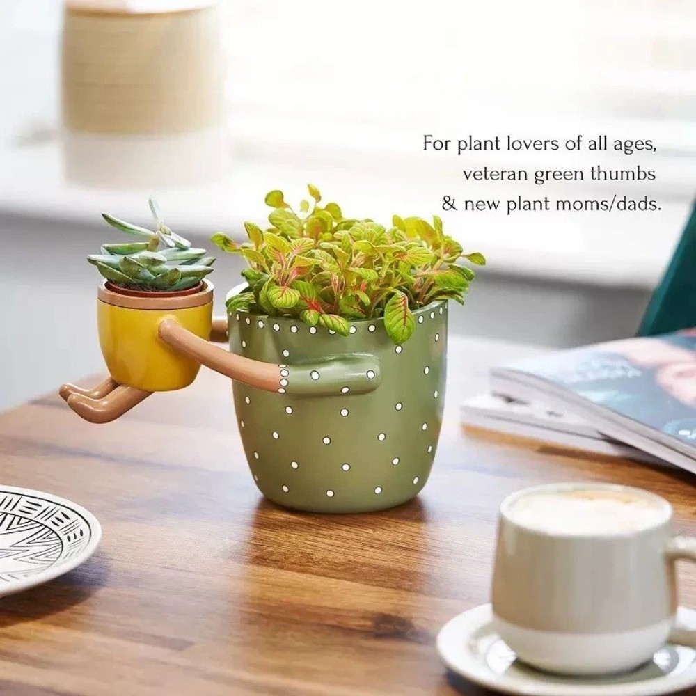 Pot Bunga Resin untuk Orang Tu - Plant Parental ulasan dan harga